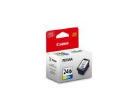 Canon PIXMA MG2924 Color Ink Cartridge (OEM) 180 Pages