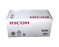 Ricoh 893210 Green Duplicator Ink (OEM Type VI - 600cc)
